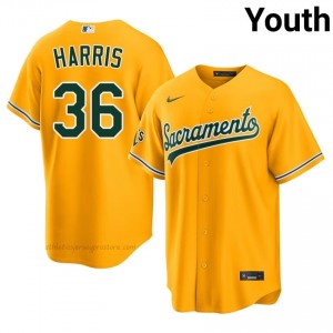 #36 Hogan Harris Gold ATH Youth Classic Stitched Baseball Jersey 46jb1459
