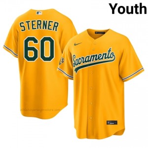 #60 Justin Sterner Gold ATH Youth Classic Stitched Baseball Jersey o83kG896