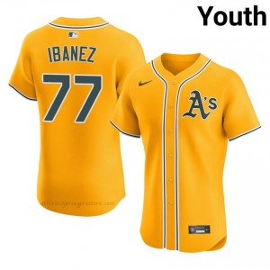 Andy Ibanez #77 Gold A's Youth Limited Embroidery Baseball Jersey 3135l675